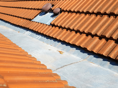 About Nexara Dome Pro - roofing contractor experts in Pompano Beach